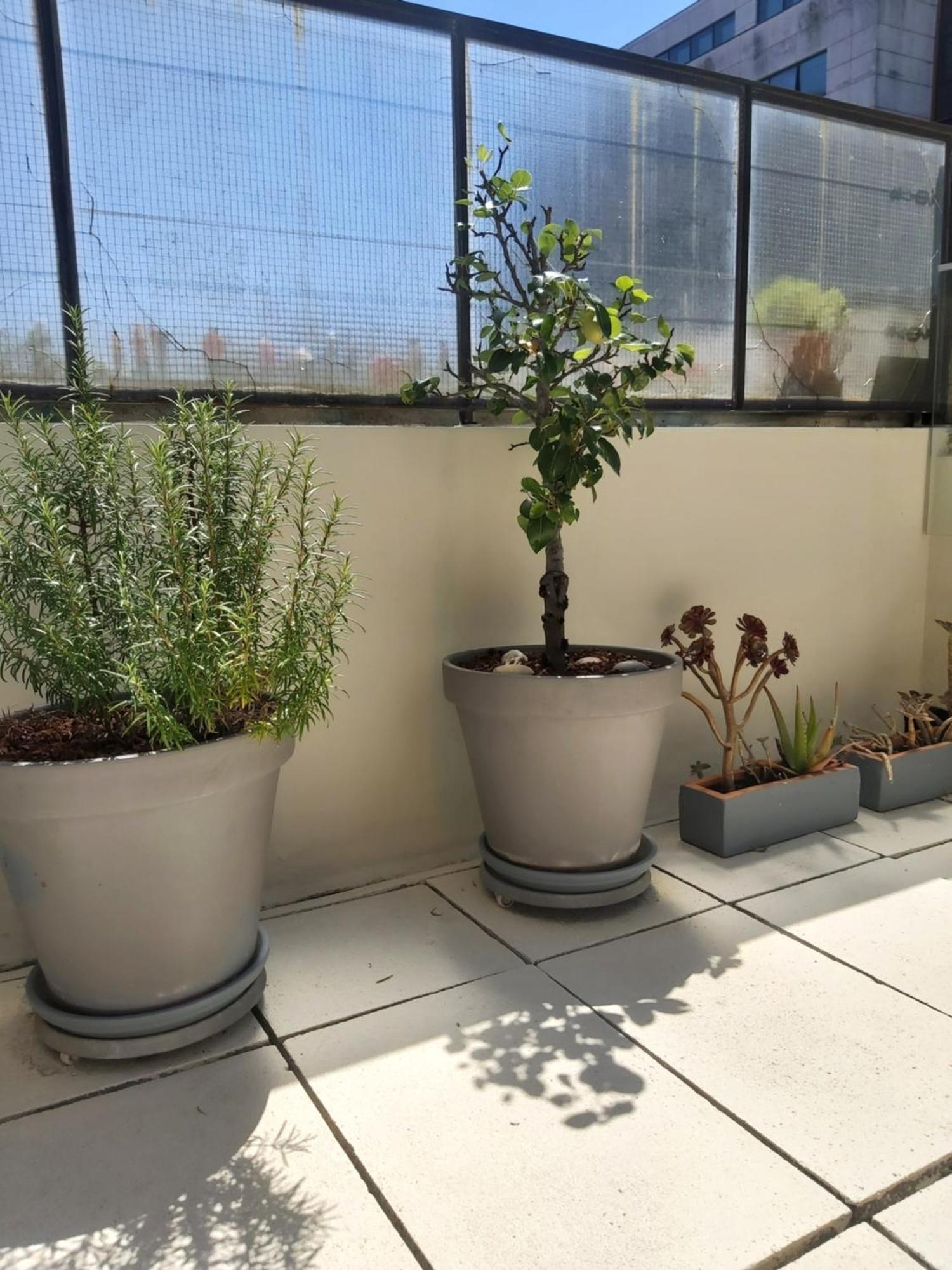 Porto Terrace Apartment 外观 照片