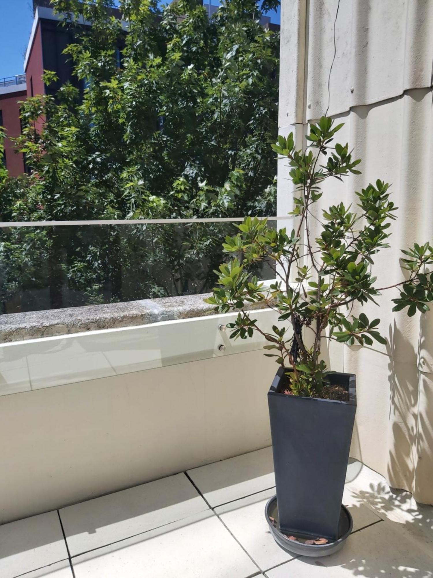 Porto Terrace Apartment 外观 照片